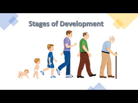 Stages of Physical Development - YouTube
