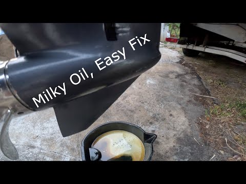 Can I Use Automotive Gear Oil In Outboard