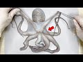 Whats inside an octopus   octopus dissection