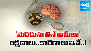 Download Lagu Brain Eating Amoeba Symptoms and Causes | Kerala | @sakshitv MP3
