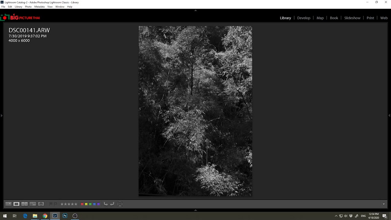 ทดลอง live กล่อง avermedia gc533