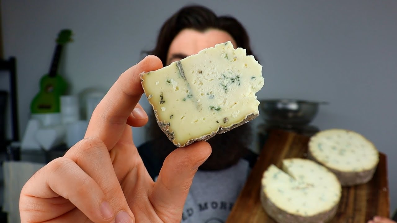 Cultiver la bactérie du fromage bleu à la maison : Penicillium roqueforti
