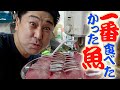 ついに手に入りました!一番食べてみたかったお魚を捌いてお刺身とフライにしてみたよ!