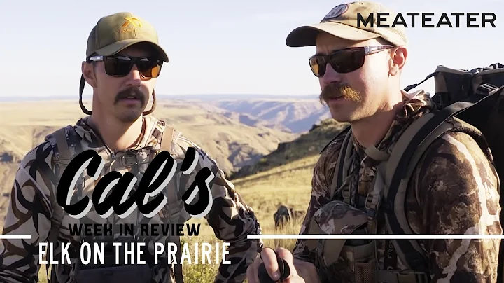 Cal in the Field: Elk on the Prairie | S1E01 | Mea...