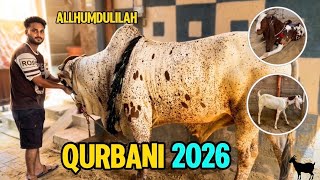 ❤️Alhamdulillah hamari Is Baar Ki Sabse Pyari Qurbani | Qurbani 2026 @Growthwithshehroz