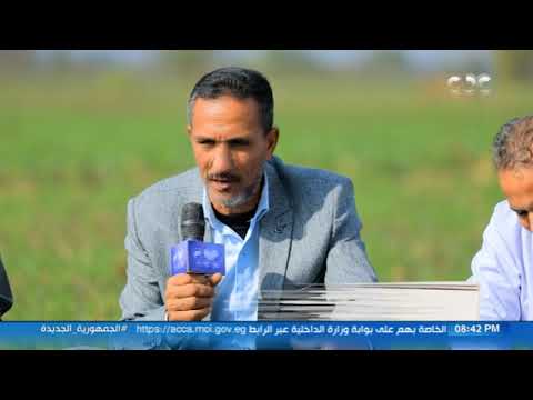 مدير عام الإرشاد الزراعي بالدقهلية ما يزرع من أنواع متعددة للقمح هدفه دعم عملية إنتاج الخبز المدعم