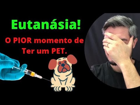 Vídeo: Dizer adeus para sempre: como saber se é hora de sacrificar meu cão?