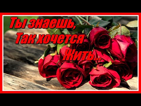 Ты знаешь, так хочется жить... Группа Рождество'