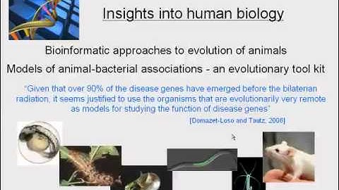 Origin and Evolution of the Microbiome