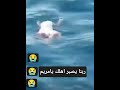 لحظه العثور على الطفلة مريم التونسيه 