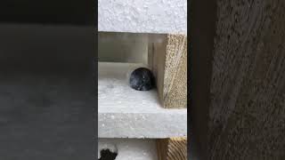 50Mm Hot Ball Vs Styro Foam Layers