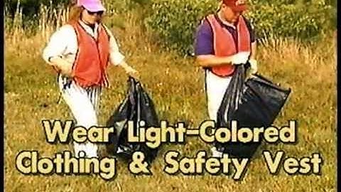 Adopt-A-Highway Safety