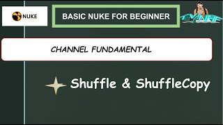 Celebrity Channel Fundamental in Nuke 002 || Shuffle & ShuffleCopy Node Profile