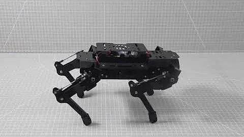 PuppyPi-Trot Introduction