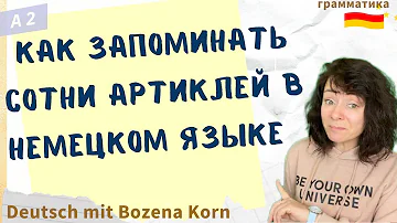 🇩🇪 Не нужно зазубривать артикль, нужно его просто понять