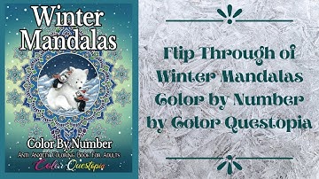 Flip Through of Winter Mandalas Color by Number by Color Questopia