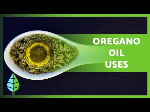 OREGANO OIL 🌿💚 PROPERTIES, USES, CONTRADICTIONS and more!