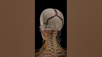 ولقد خلقنا الإنسان...#تلاوة_خاشعة #آيات #المصحف #القرآن_الكريم #تلاوات #اكسبلور #