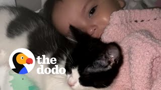 Tiny Rescue Kitten Refuses To Leave Baby Sister's Crib | The Dodo Soulmates