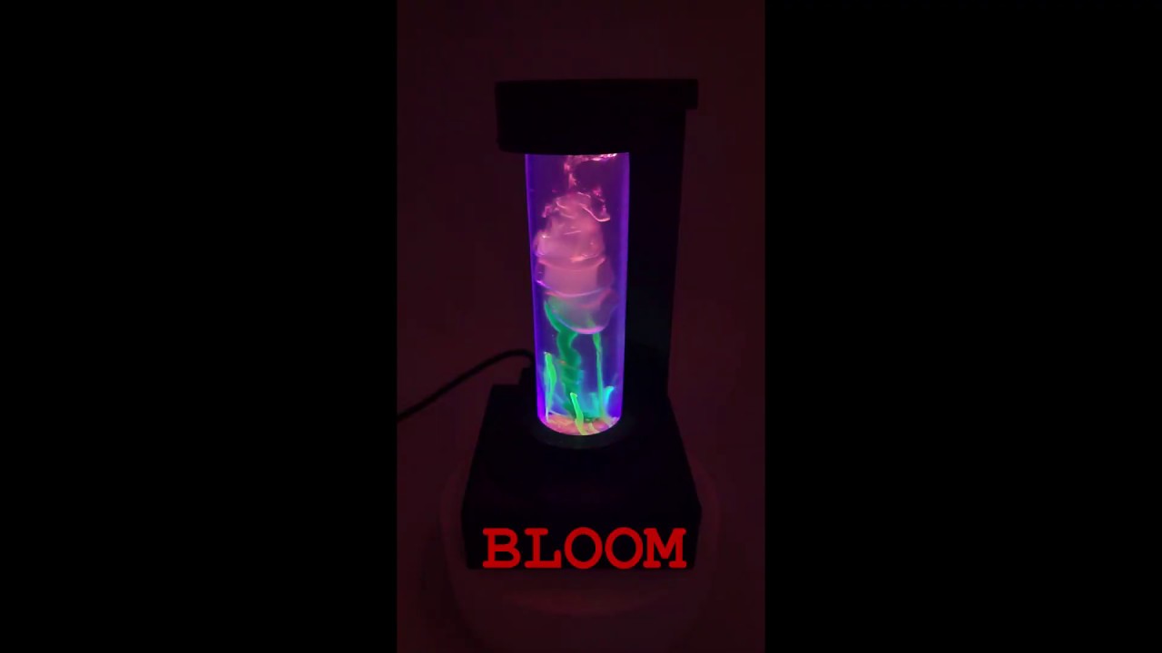Lights For Staring At YouTube lights-for-staring-at-youtube