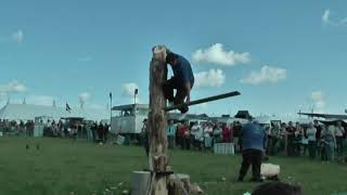 GDSF 2012 a + 1 Produced / Food / Craft / Logging / Horses /Tractors / Engines / Horticultural //