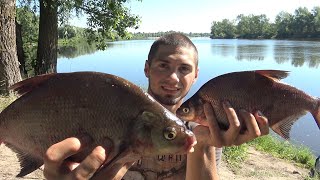 ТАК ВОТ ЧЕГО ОН ХОТЕЛ! ЭКСПЕРИМЕНТЫ ПРИНЕСЛИ РЕЗУЛЬТАТ! Ловля леща на Десне.Рыбалка на фидер 2020