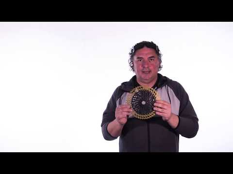 Leonardi General Lee Cassette