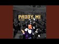 Miniature de la vidéo de la chanson Paddy Mi