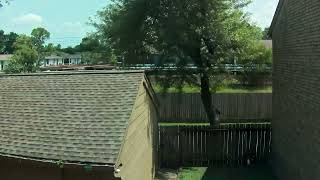 Backyard Timelapse 20260625