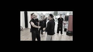 Ving Tsun (Wong Shun Leung Wing Chun (Yip Man)