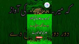 Husband Or Wife Jokes, Latifay In Urdu, Suhaagraat, Ganday Lateefay,