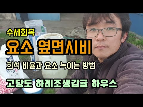 감귤