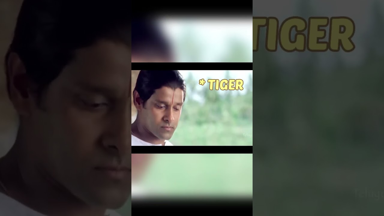 Incredible Nepali Tiger Fight Scene - Watch Until the End for a Shocking Twist!