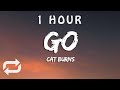 Cat Burns - Go (Lyrics) | 1 HOUR