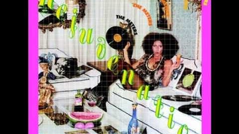 The Meters - Hey Pocky A-Way