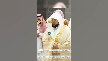 تلاوة خاشعة 🌿 سورة الذاريات 🌿  #_للشيخ أ.د #_ماهر_المعيقلي