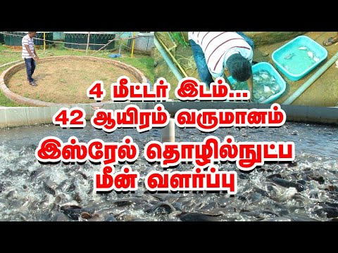 4 மீட்டரில் 42 ஆயிரம் தரும் இஸ்ரேல் மீன் வளர்ப்பு! BioFloc fish farming