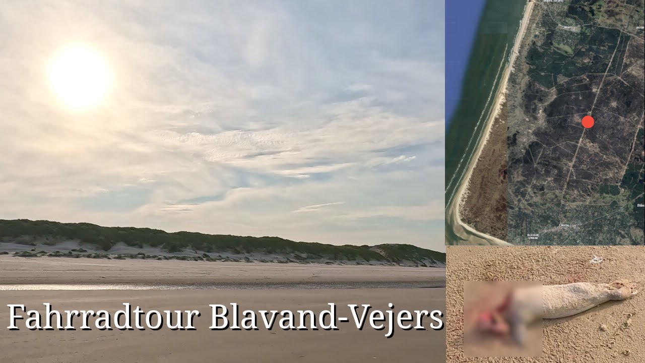 Blavand - Vejers Fahrradtour durchs Militärgebiet und am Strand