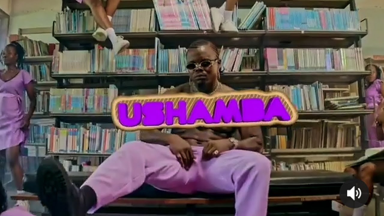 Harmonize    Ushamba  Official Music Video 
