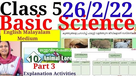 Class 5 Basic Science Worksheet 26/2/22|Class 5 Basic Science chapter 10 Part 3 Activities@educutz131