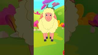 Baa Baa Black Sheep | Nursery Rhymes | Animals Song | Kids Song | Little Finger Rhymes