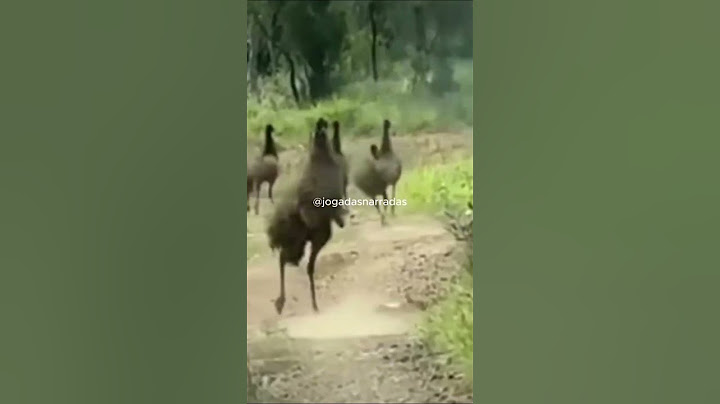 Tentei não ir