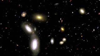 Hubble Reveals Infant Galaxies
http://www.facebook.com/ScienceReason ... The deeper NASAs Hubble Space Telescope looks into space, the farther back in time it looks, because light takes billions of years to cross the observable universe. Hubbles latest image shows 13 billion-year-old infant (and still forming) galaxies.
Please SUBSCRIBE to Science & Reason:
• http://www.youtube.com/Best0fScience
• http://www.youtube.com/ScienceTV
• http://www.youtube.com/FFreeThinker
The Hubble Space Telescope has captured the earliest image yet of the universe just 600 million years after the Big Bang, when the universe was just a toddler.
Scientists released the photo at a meeting of the American Astronomical Society. Its the most complete picture of the early universe so far, showing galaxies with stars that are already hundreds of millions of years old, along with the unmistakable primordial signs of the first cluster of stars.
Hubble can be thought of as a time machine; the deeper it looks into the cosmos, the further back in time it sees. The light emitted from these baby galaxies was produced 13 billion years ago, but since then, the universe has been expanding at an accelerated rate, so its taken the same light 13 billion years to reach our telescopes. These faint objects are therefore the most ancient and most distant things we have ever seen.
Interestingly, the light from the most distant galaxies in this image is stretched or red-shifted. As the universe expands, the light is stretched to longer and longer wavelengths. Now this ancient, dim infrared light can only be detected by extremely sensitive instrumentation.
These young galaxies havent yet formed their familiar spiral or elliptical shapes and are much smaller and quite blue in color. Thats mostly because at this stage, they dont contain many heavy metals, said Garth Illingworth, a University of California, Santa Cruz, astronomy professor who was among those releasing the photo.
Until NASAs Hubble telescope was repaired and upgraded last year, the farthest back in time that astronomers could see was about 900 million years after the Big Bang, Illingworth said. Hubble has been key in helping determine the age of the universe at about 13.7 billion years, ending a long scientific debate about a decade ago.
As far back as Hubble can see, it still doesnt see the first galaxies. For that, NASA will have to rely on a new observatory, the $4.5 billion James Webb telescope, which is set to launch in about four years.
The new Hubble picture captures those distant simpler galaxies juxtaposed amid closer, newer and more evolved ones. The result is a cosmic family photo that portrays galaxies at different ages and stages of development over the course of more than 13 billion years.
Tyson, who was not involved in the Hubble image research, said most people only like their own baby pictures, but Hubbles photo is different: These are the baby pictures for us all, hence the widespread interest.
• http://news.discovery.com/space/hubble-telescope-early-universe.html
Since 1853, the California Academy of Sciences has been dedicated to exploring, explaining, and protecting the natural world. It is the only place in the world to combine an aquarium, natural history museum, and planetarium all under one living roof.
• http://www.calacademy.org/
. Hubble Reveals Infant Galaxies