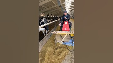 Incredible feed cutter #farm #cows #feed