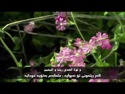 ينادي فؤادي محمد العمري سرودێكی یه كجار خۆش ژێرنووسی كوردي عه ره بی