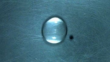 The Leidenfrost Effect: watch droplets bounce off each other as they levitate on a hot plate
