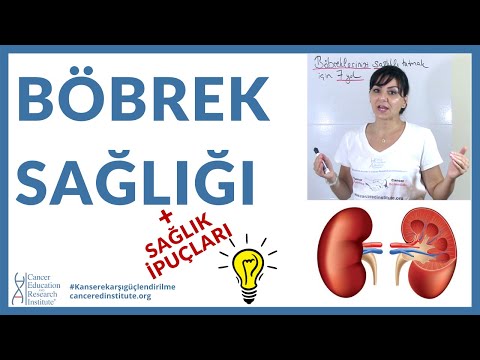 Video: Böbreklerinizi nasıl sağlıklı tutabilirsiniz?