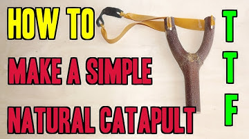 HOW TO MAKE A NATURAL CATAPULT THE EASY WAY !!! SLINGSHOT MAKING
