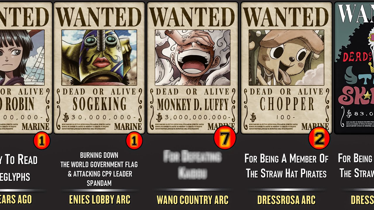 Do any of the Straw Hat crew members have a bounty? - Quora