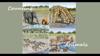 Counting Animals